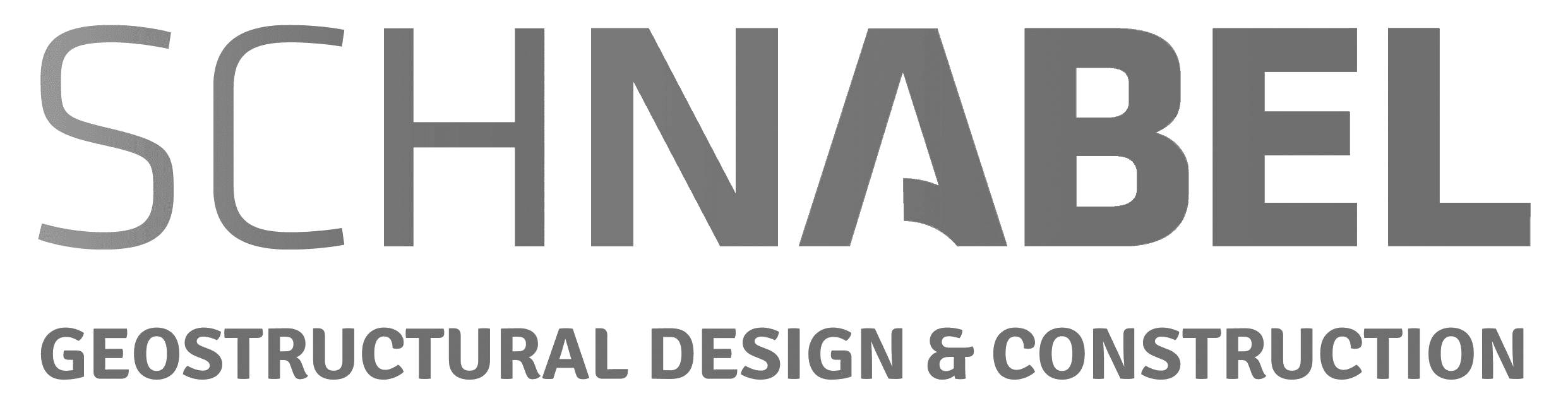 Schnabel master logo grayscale